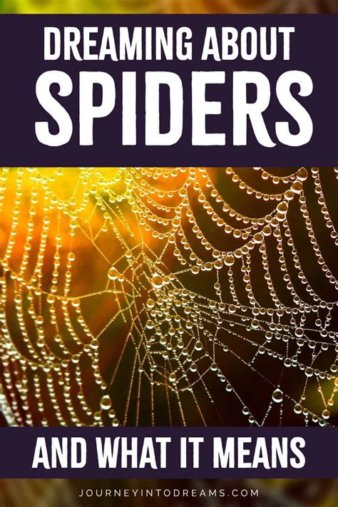 Embracing Transformation: Focusing on the Positive Aspects of Spider Dreams During the Maternal Journey