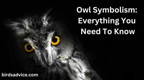 Embracing Your Inner Wisdom: Applying Owl Symbolism in Daily Life