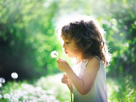 Embracing the Childhood Wonder: Rediscovering the Delight of Damp Greenery