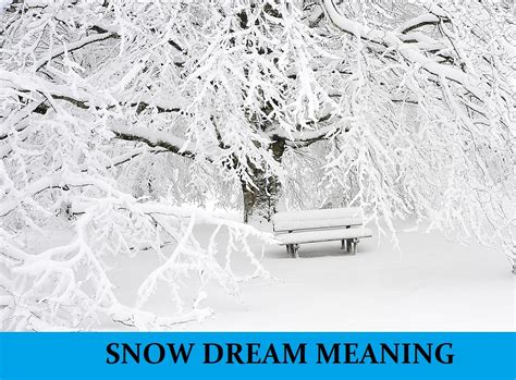 Embracing the Cold: The Sensations of Snow in Dreams