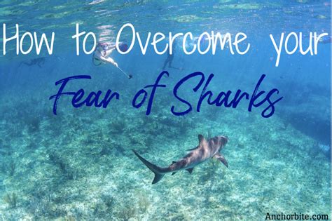 Embracing the Unknown: Steps to Overcoming Fear of Sharks