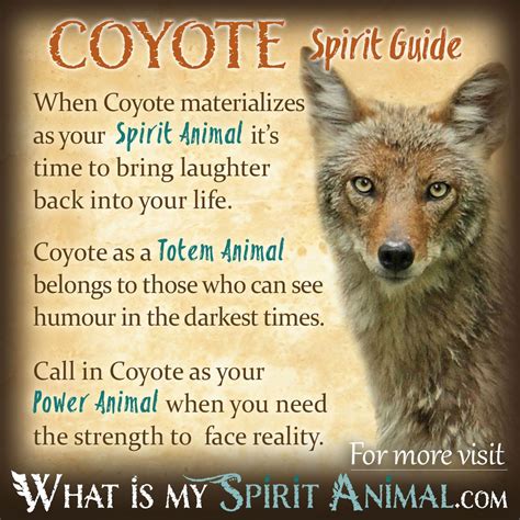 Embracing the Wisdom and Power of the Spirit Animal Revealed as the White Coyote