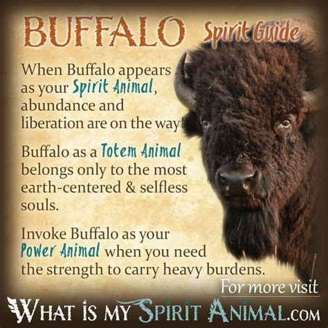 Embracing the Wisdom of the Enigmatic Buffalo Guide in Everyday Life