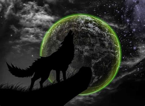 Embracing the Wolf: Incorporating Its Symbolism into Our Lives