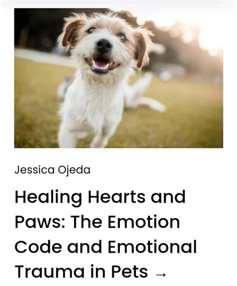 Emotional Healing: The Impact of Reviving a Cherished Animal Companion