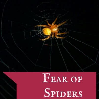 Empowering Techniques to Overcome Fear of Spiders