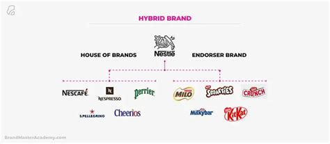 Endorsing Brands and Collaborating with Companies