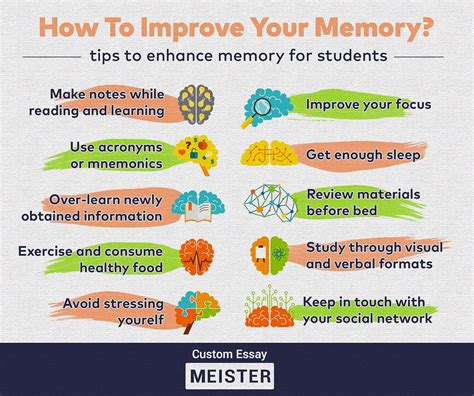 Enhanced Memory and Learning Capacities