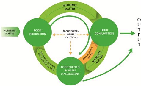 Enhancing Wellness Through the Consumption of Circular Seeds