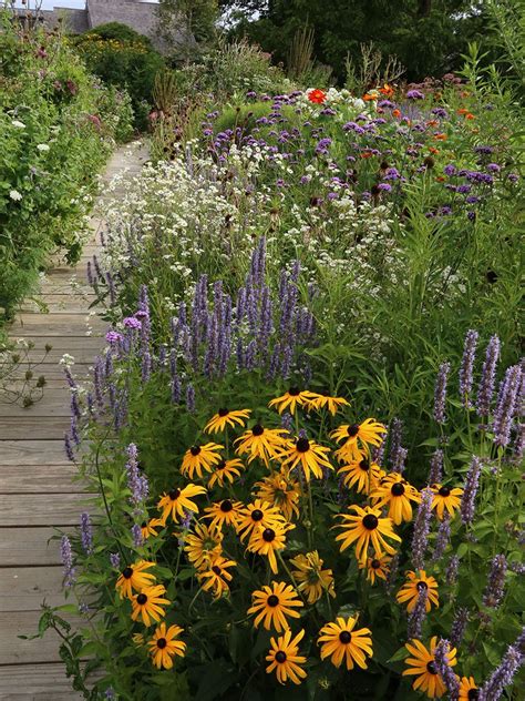 Enhancing Your Yard with Native Plants to Attract a Plethora of Wildlife