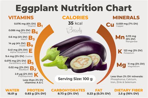 Enhancing the Nutritional Value of Your Meals with Abundant Eggplants