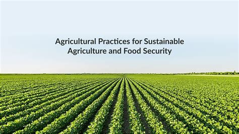 Ensuring Food Security and Promoting Sustainable Agriculture