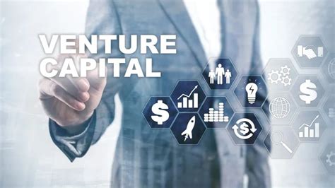 Entrepreneurial Ventures and Investment Portfolio