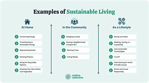 Environmental Consciousness: The Role of Communal Strolling in Promoting Sustainable Living