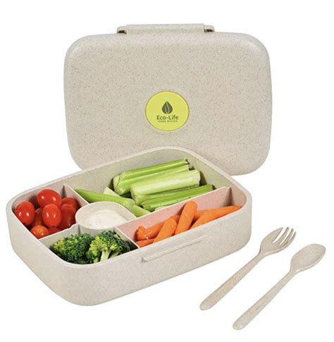 Environmental Considerations: Eco-Friendly Lunch Boxes for a Sustainable Lunch Break