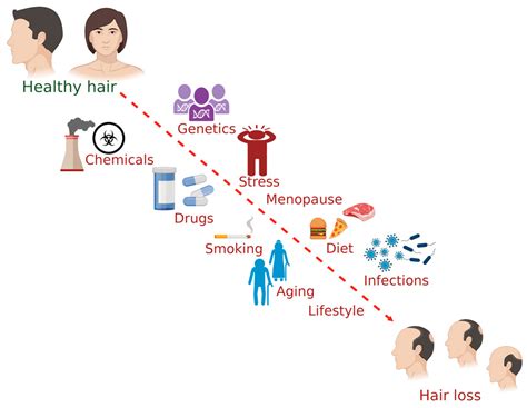 Environmental Factors Influencing Hair Manageability