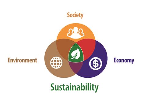 Environmental Impact: Achieving a Balance Between Convenience and Sustainability