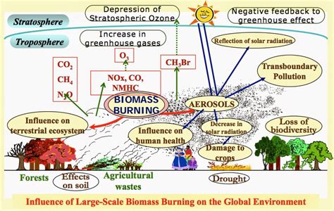 Environmental Impact: Evaluating the Consequences of the Mysterious Chestnut Haze on Ecological Systems