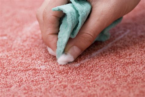 Environmentally-Friendly Alternatives for Carpet Cleaning