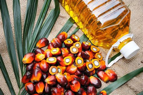 Environmentally-Friendly Uses of Palm Nut Products