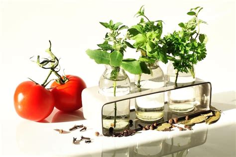 Envisioning the Future: Exploring the Potential of Petite Tomatoes for Sustainable Farming