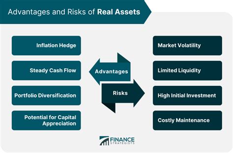 Erica's Assets and Financial Ventures