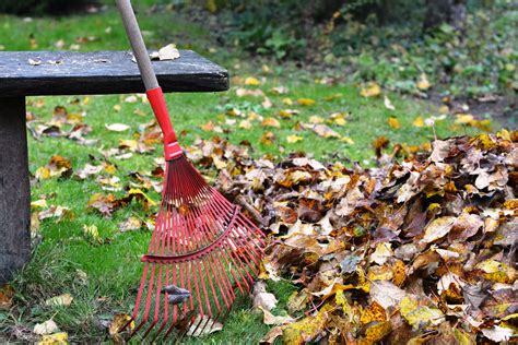 Essential Tools and Equipment for Cleaning Up Your Outdoor Area