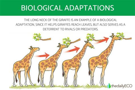 Evolutionary Marvels: Adapting to Unusual Environments and Predatory Tactics