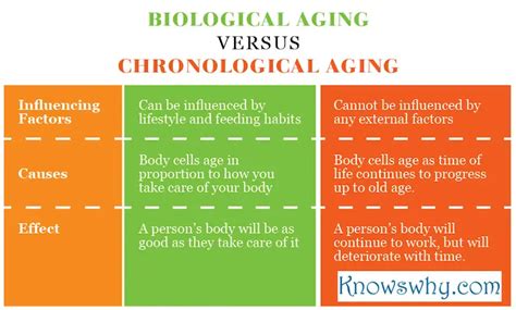 Examining Biological Years versus Legal Years