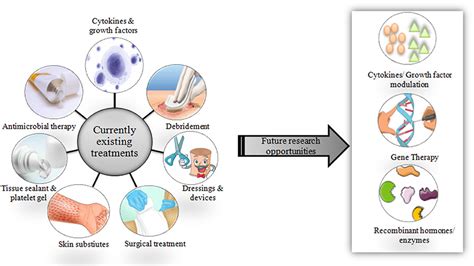 Examining Traditional and Alternative Therapies for Wound Healing