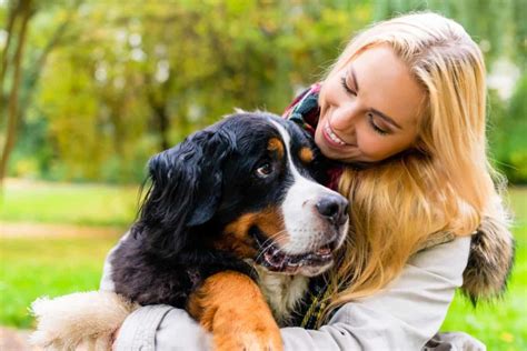 Examining Your Emotional Bond with Your Pet