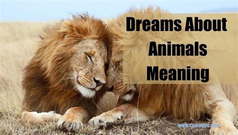 Examining the Cultural Perspectives on Dreaming about Untamed Creatures