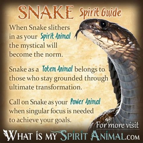 Examining the Cultural Significance of Snake and Rat Symbolism