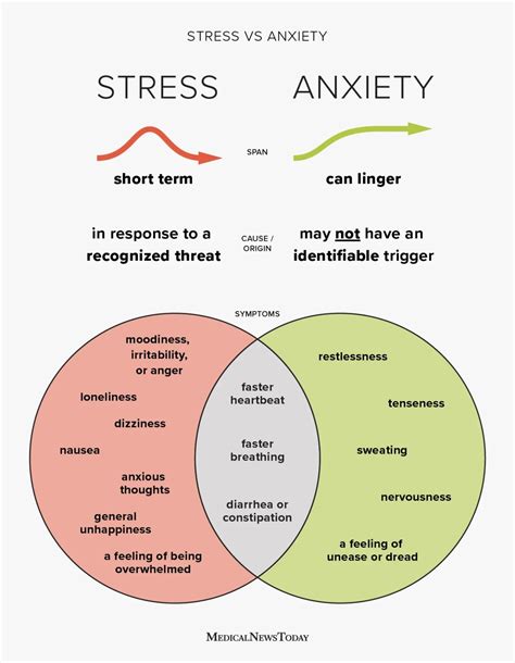 Examining the Influence of Stress and Anxiety