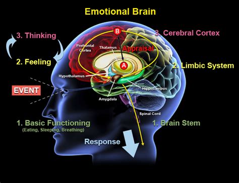 Examining the Link between Fragmenting Dreams and Emotional State