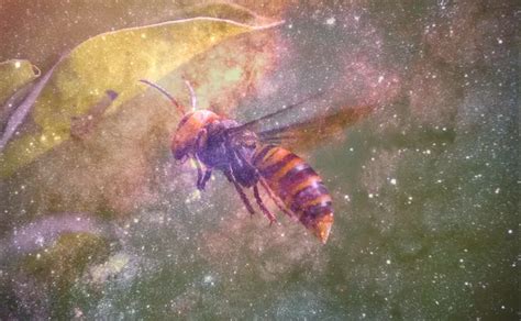 Examining the Physical and Emotional Implications of Dreaming about Hornet Stings