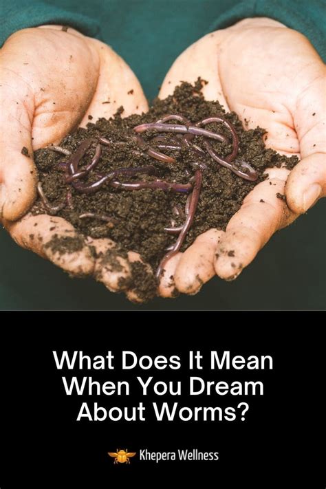 Examining the Possible Medical Conditions Associated with Worm Dreams