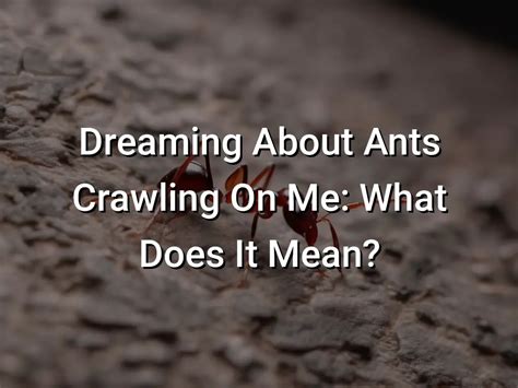 Examining the Possible Reasons for Dreaming about Ants Crawling on My Legs