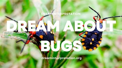 Examining the Potential Relationships between Reflective Bug Infestation Dreams and Real-Life Obstacles