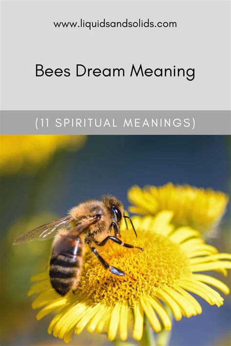 Examining the Relationship between Bees and Dreaming in Various Cultures