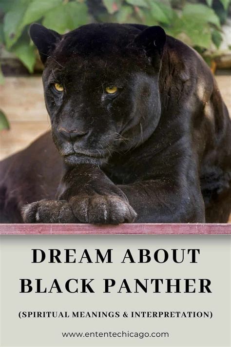 Examining the Role of Fear and Power in Panther Bite Dreams