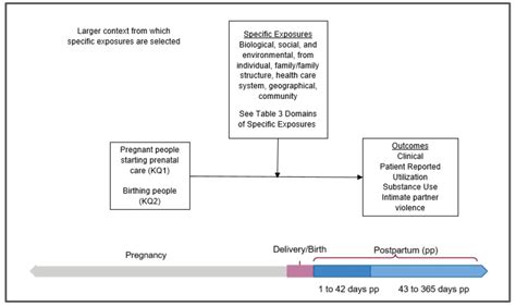 Examining the Role of Healthcare Systems in Maternal Mortality