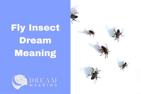 Examining the Symbolism Behind Dreaming About Flies Intruding on Edible Delicacies