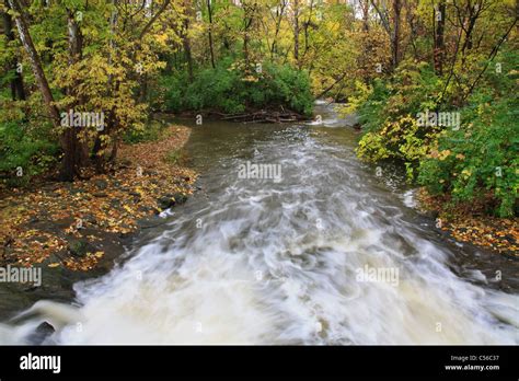 Experiencing the Ecstasy of Moving Streams