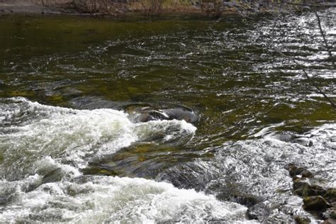 Experiencing the Serenity of the River's Current