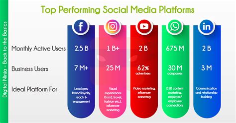 Explore Buni Kit's Impact on Various Platforms