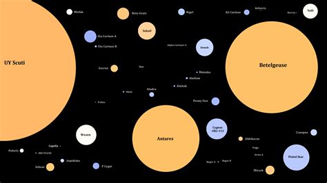 Explore the Body Measurements of Well-Known Stars