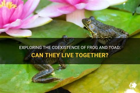 Exploring Alternatives to Toad Reduction: Striving for Harmonious Coexistence