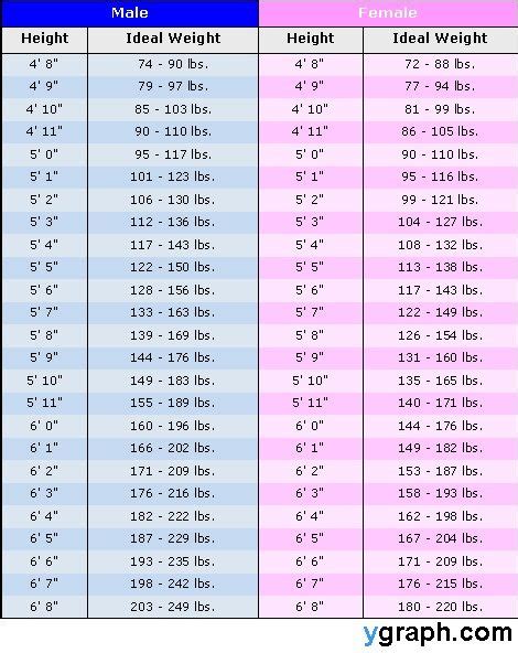 Exploring Asia Levy's Height and Weight