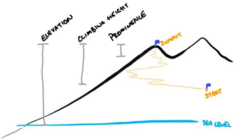 Exploring Aurmi's Climb to Prominence and Fortune